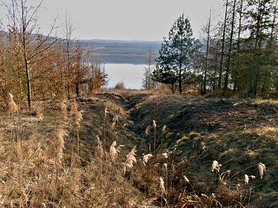 I tohle je na ní hezké *