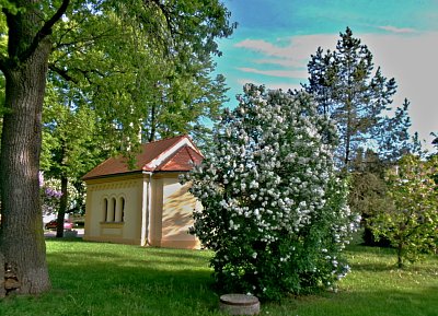 245-1700.jpg
