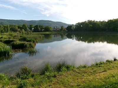 245-1721.jpg