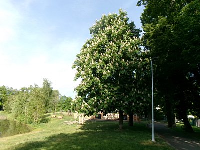 245-1767.jpg