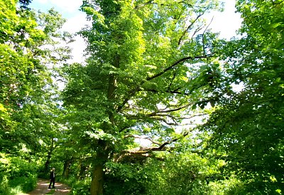 245-1842-1.jpg
