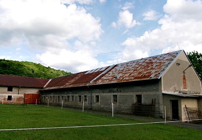 245-2144.jpg