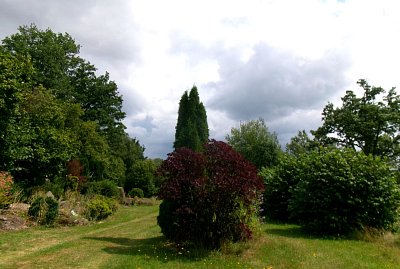 245-3011.jpg