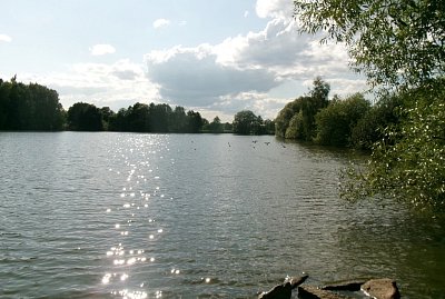 245-3029.jpg