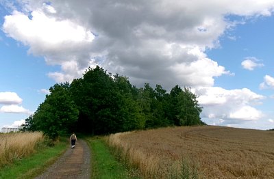 245-3037.jpg