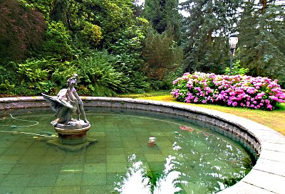 Kytička u jezírka *