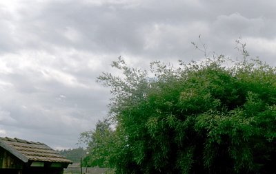 245-3253-2.jpg