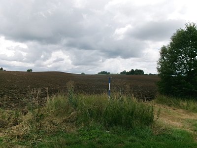 245-3325.jpg