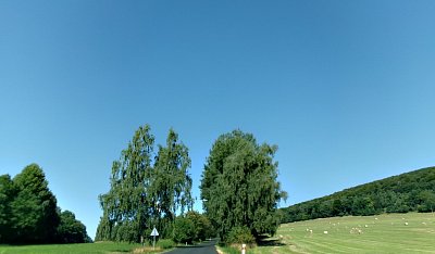 245-3359.jpg