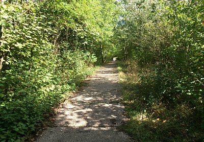245-3696.jpg