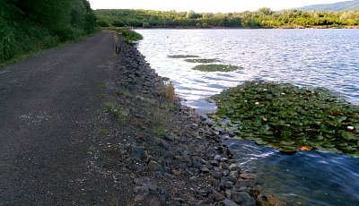 245-3733.jpg
