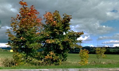 245-4075.jpg