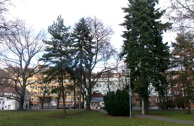 Ještě jedna z Městského parku*