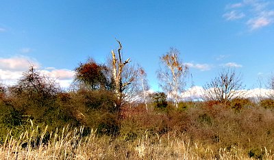 Příroda umí čarovat *