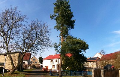 Přivítání v Lučním Chvojně *