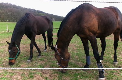 Ahoj kluci, nechte si chutnat *