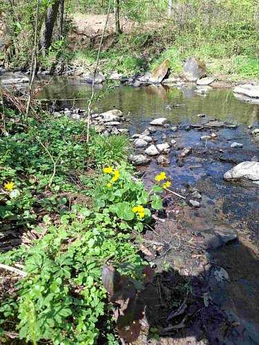 25-blatouchy-na-brehu-vrchlice.jpg