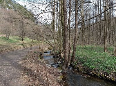 26-182.jpg