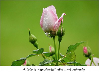27-74.jpg