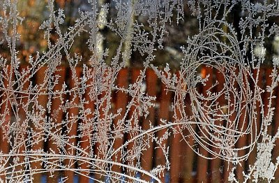 První české přikázání