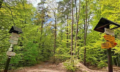 28-dva-rozcestniky-pred-hradem.jpg