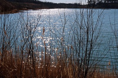 28-hvezdicky-proti-svetlu.jpg