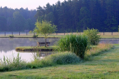 Jihočeský rybník