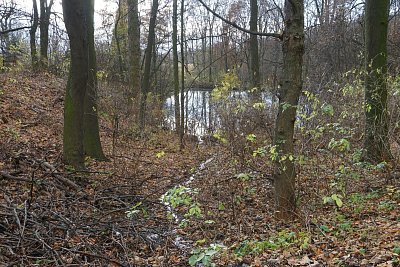 3-rybnicek.jpg