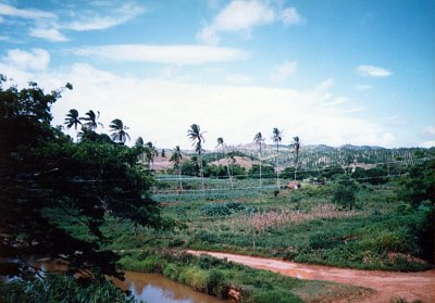 Fidži - údolí Sigatoka