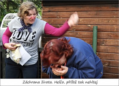 31-43.jpg