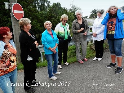 34-2017-07-26-p7250031-2--1.jpg