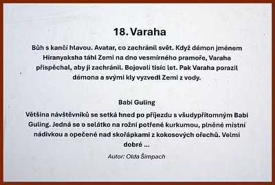 31