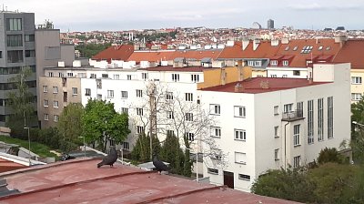 34-a-uz-jsou-na-strese-oba-rodice.jpg