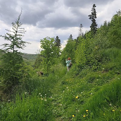 34-cesky-sternberk.jpg