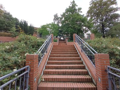 35-pha.jpg