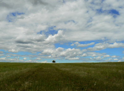 Solitér