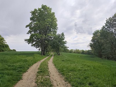 36-cesky-sternberk.jpg