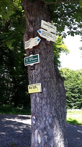 38-rozcestnik-sladkuv-kriz.jpg