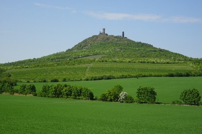 39-pro-milovniky-zelene.jpg