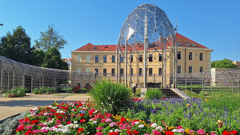 20260627_084039.jpg