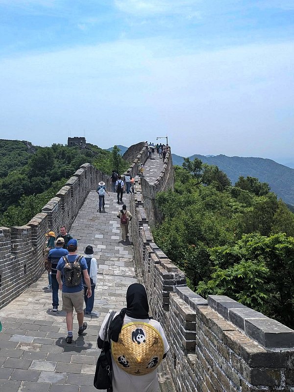 cina.velkaZed2.jpg