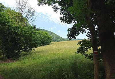 Dolů po červené do Milešova