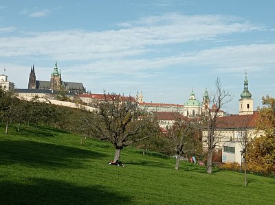 44-33.jpg