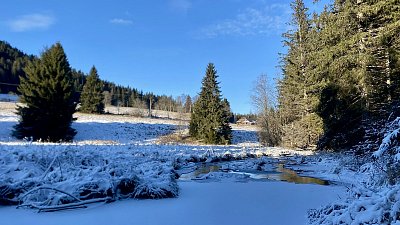 Silvestrovská Šumava *