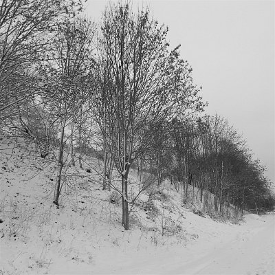 Černo-bílá cesta
