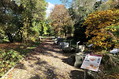 5-bz-v-rijnu-geologicky-park-1.jpg