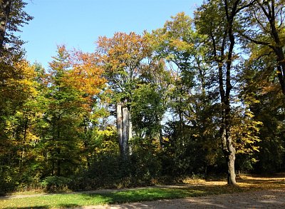 5-dsc04262.jpg