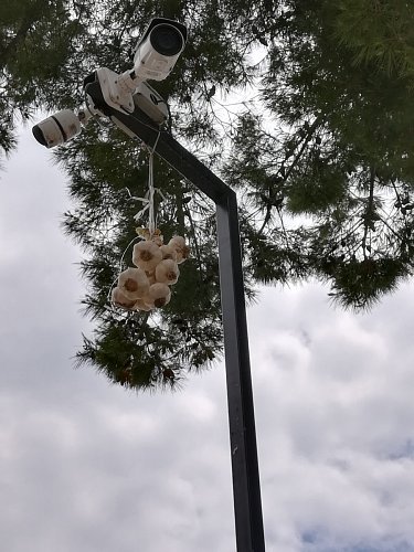 5-kombinace-poulicni-kamery-a-cesneku.jpg