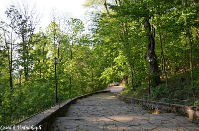 50-27.jpg