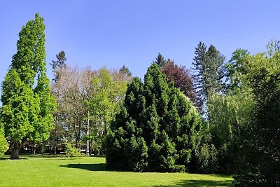 50-zruc-n.-sazavou.jpg